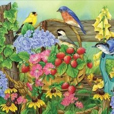 Hoa và chim