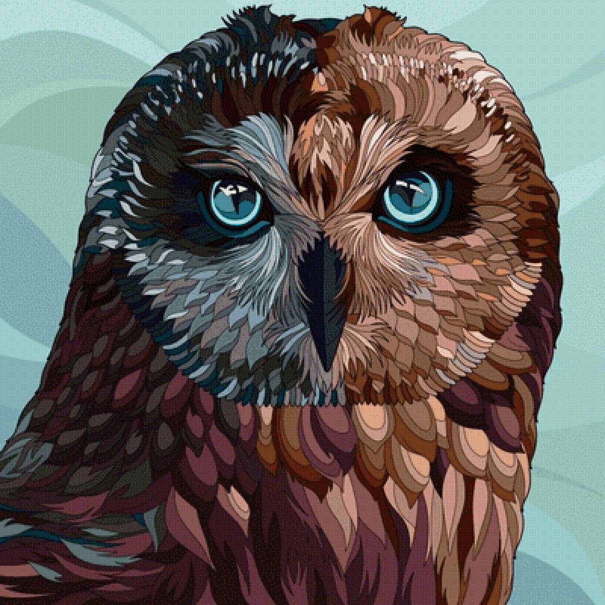 сова - сова, птица - предпросмотр