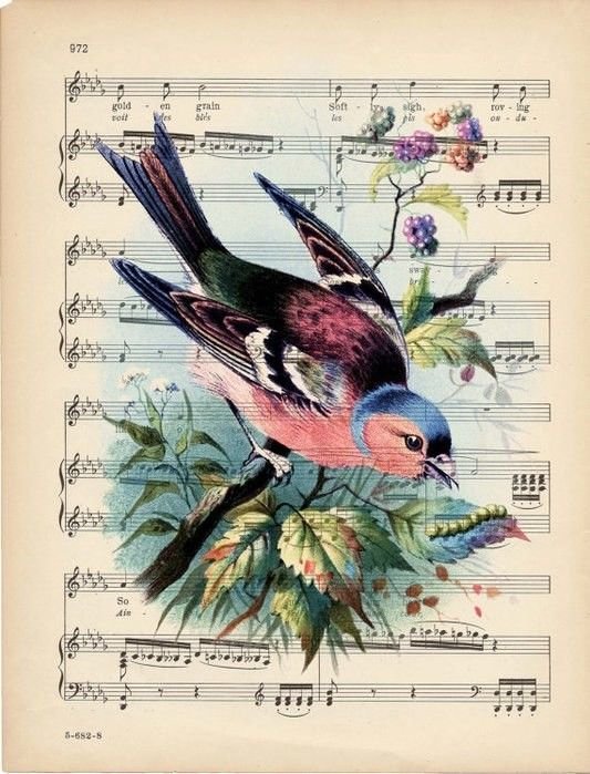 Картина на нотах - винтаж, птица, ноты, музыка - оригинал