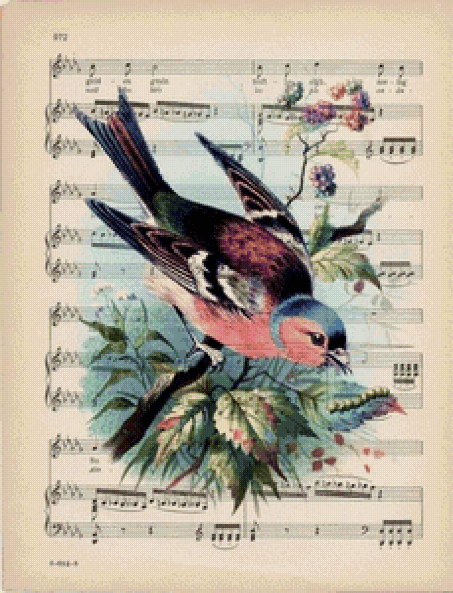 Картина на нотах - птица, ноты, музыка, винтаж - предпросмотр