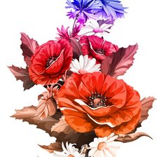 Схема вышивки «маки»