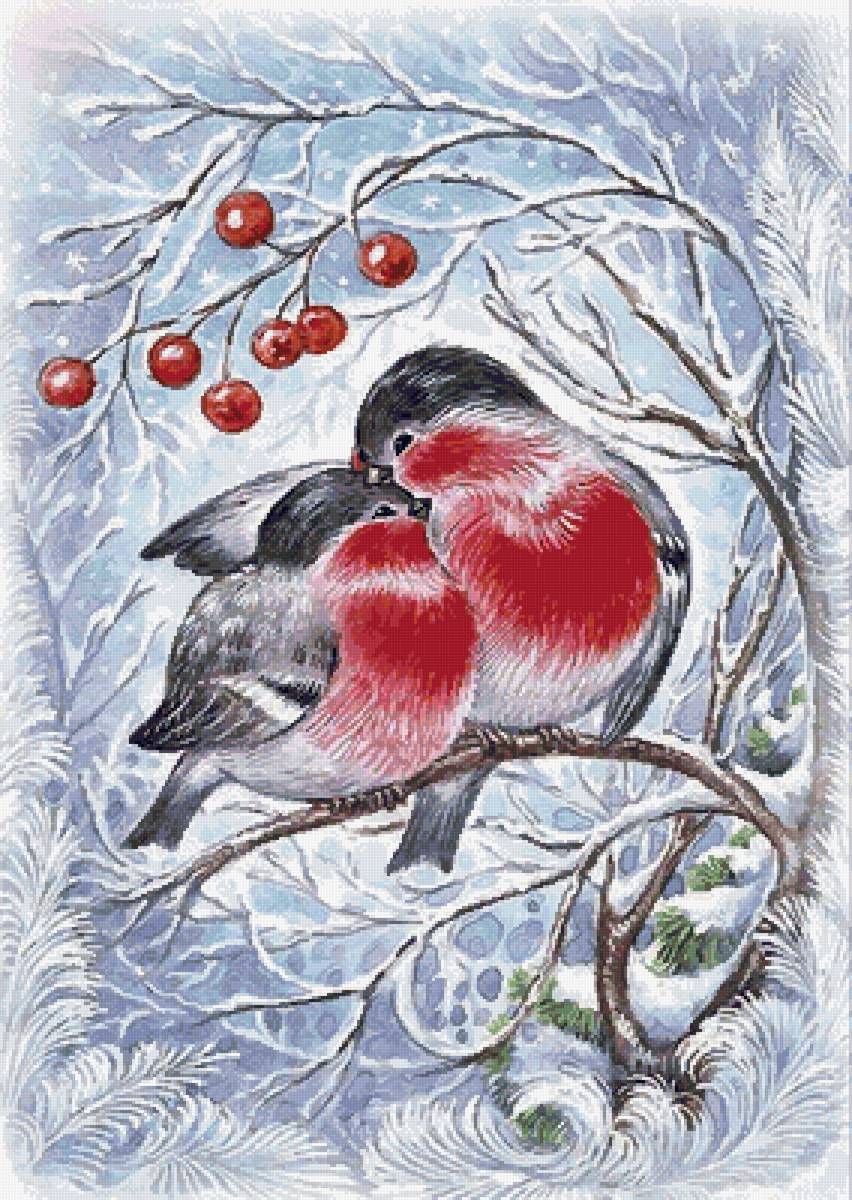 Снегири - рябина, снег, зима, снегири - предпросмотр