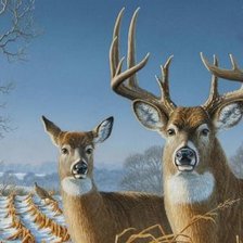 Схема вышивки «№2536403»