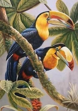 Птицы - птицы, тропики - оригинал