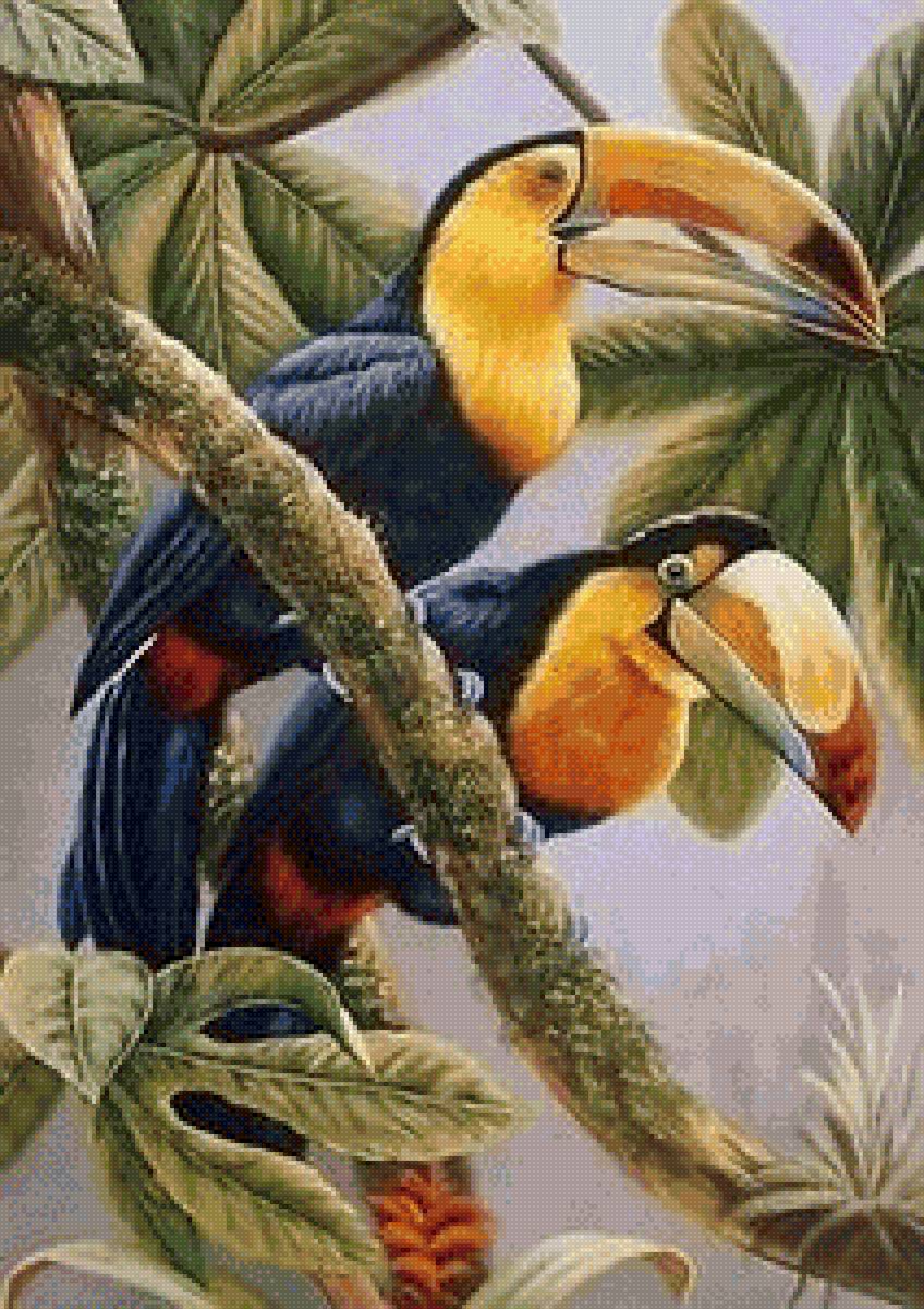 Птицы - тропики, птицы - предпросмотр