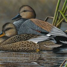 Схема вышивки «№2536898»