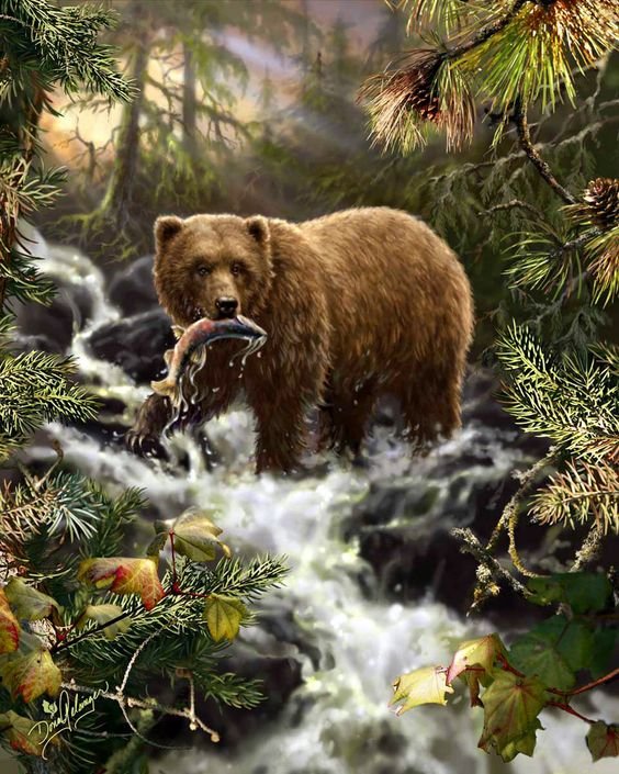 Рыбалка - рыбалка, природа, медведь - оригинал