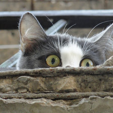 Схема вышивки «Я все вижу»