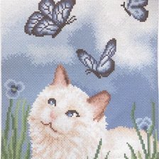 Схема вышивки «Кот с синими бабочками»
