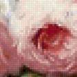 Предпросмотр схемы вышивки «розы 1» (№2537534)
