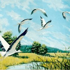 Схема вышивки «№2537735»