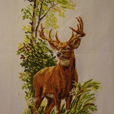 Схема вышивки «№2537811»