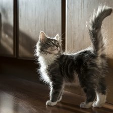 Схема вышивки «Идем??»