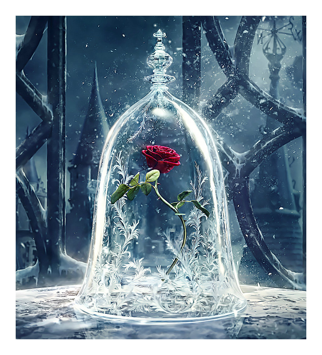 Сказочная роза - цветок, роза - оригинал