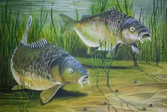 №2538146 - оригинал