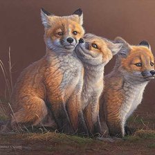 Схема вышивки «№2538210»