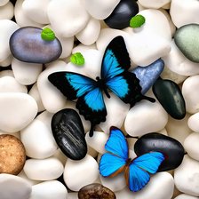 Схема вышивки «Бабочки на камнях»