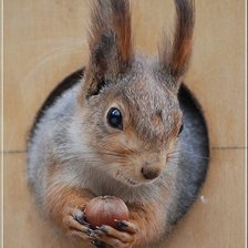 Оригинал схемы вышивки «№2538422»