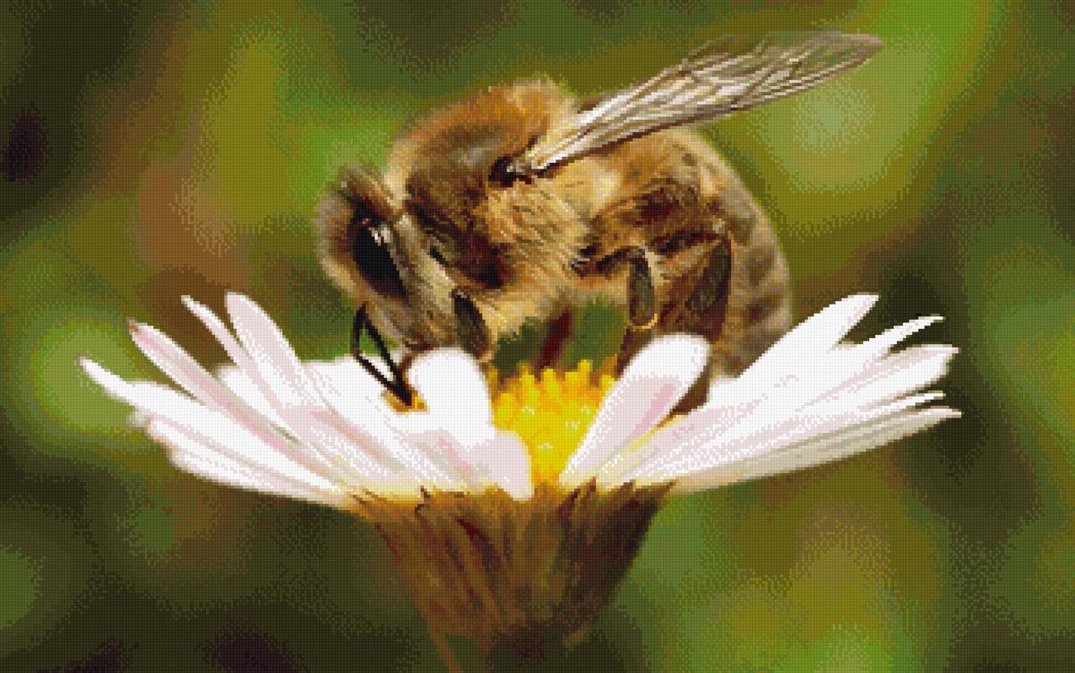 №2538442 - предпросмотр