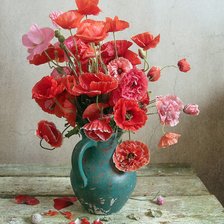 маки, букет, ваза, пнк