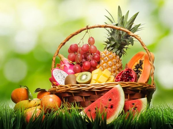 Корзина фруктов - фрукты, корзина, лето - оригинал