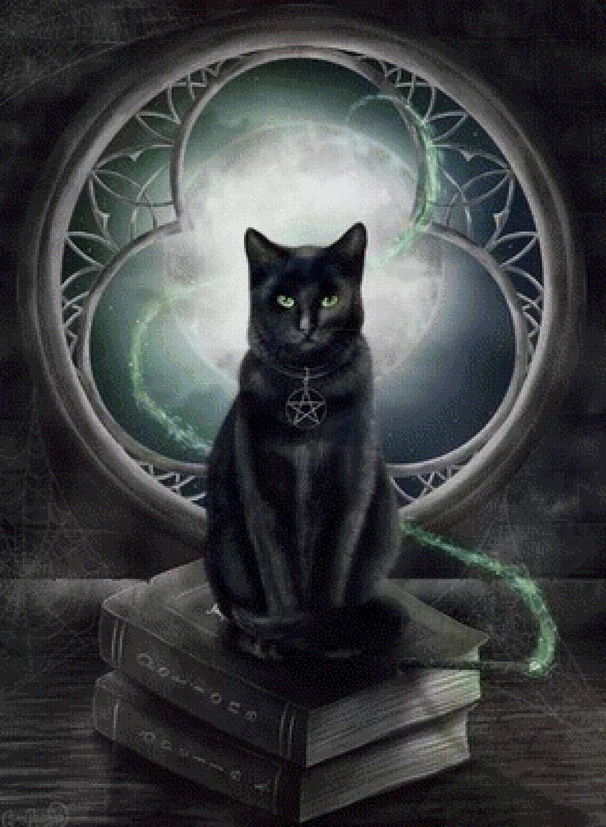 магический кот - фентази - предпросмотр