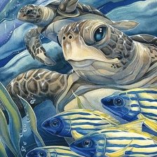 Схема вышивки «морская черепаха, пнк»