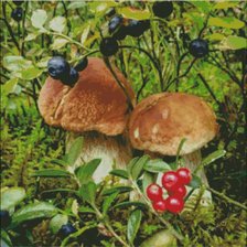 Схема вышивки «лес, природа, грибы, пнк»