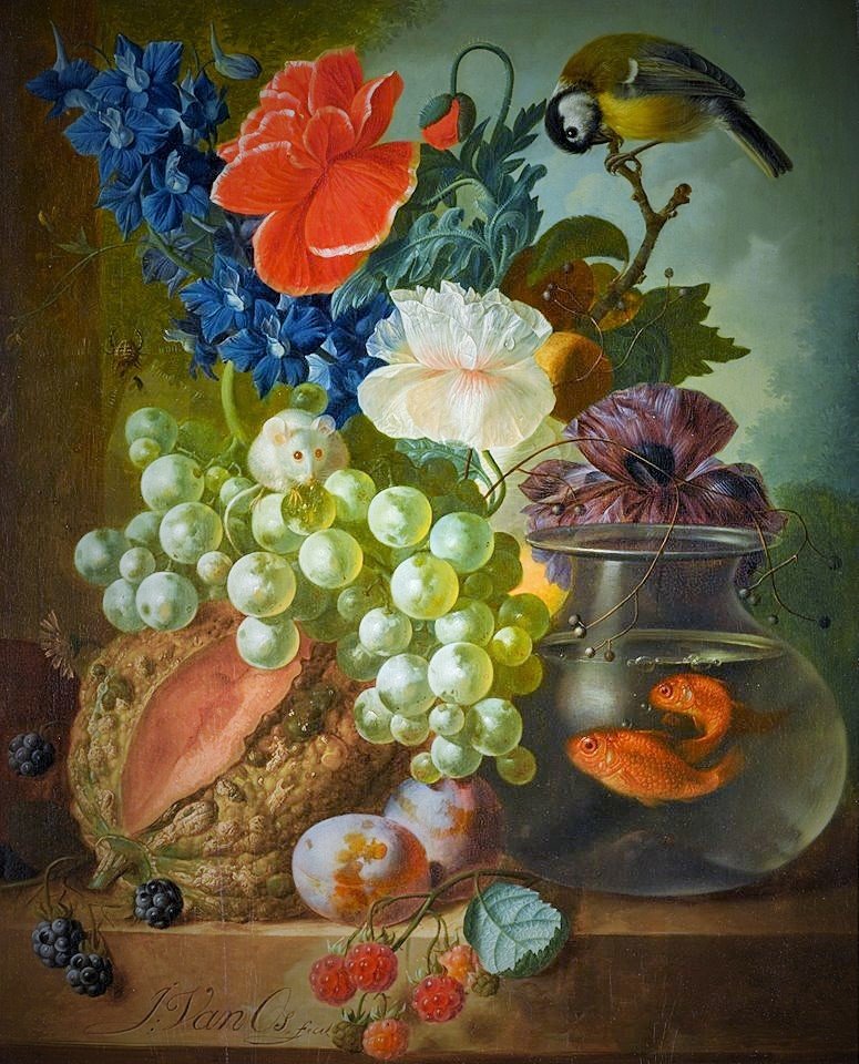 Ян Ван Ос. Натюрморт - натюрморт, рыбки, ян ван ос - оригинал
