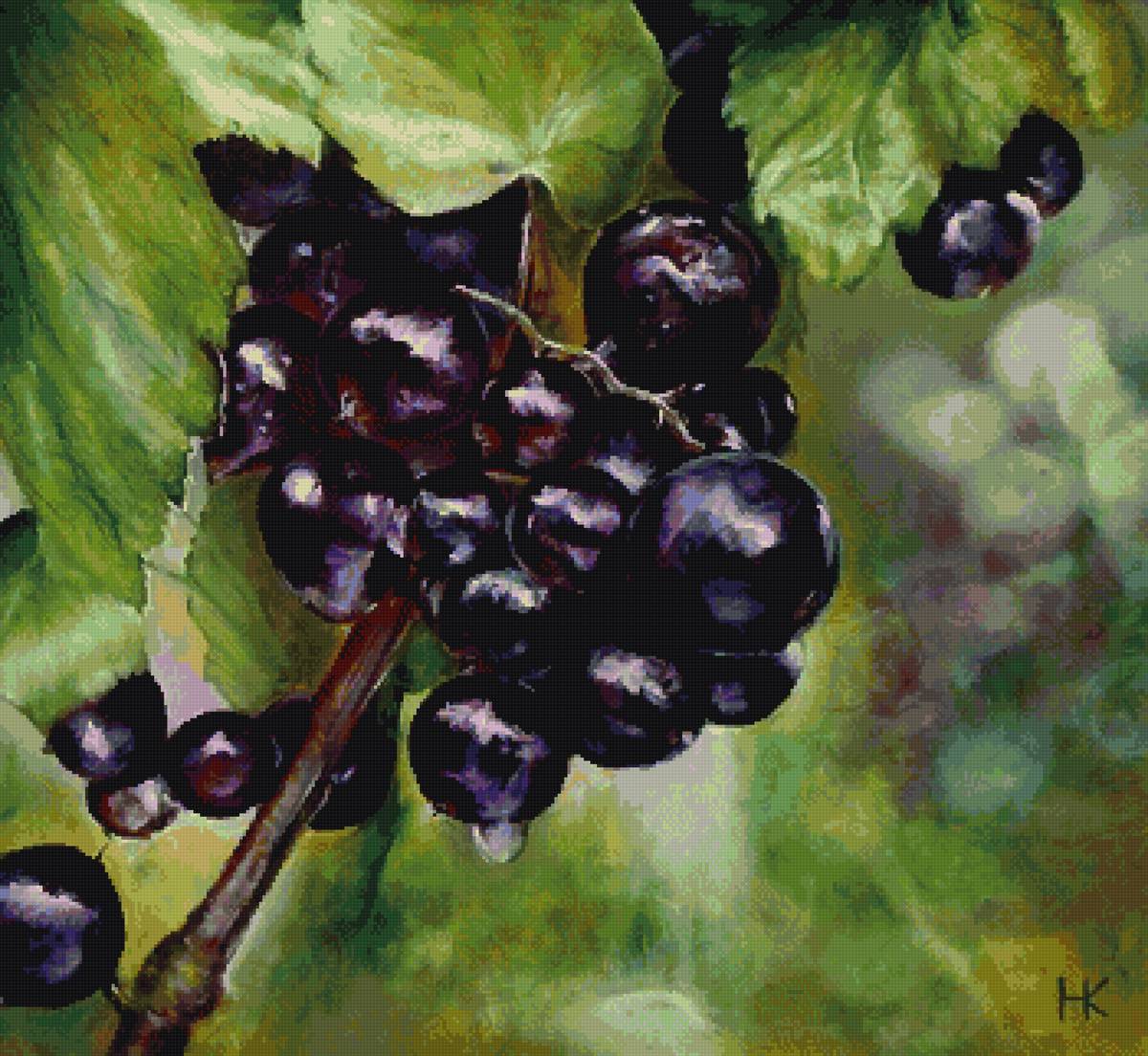 ягоды, пнк - предпросмотр