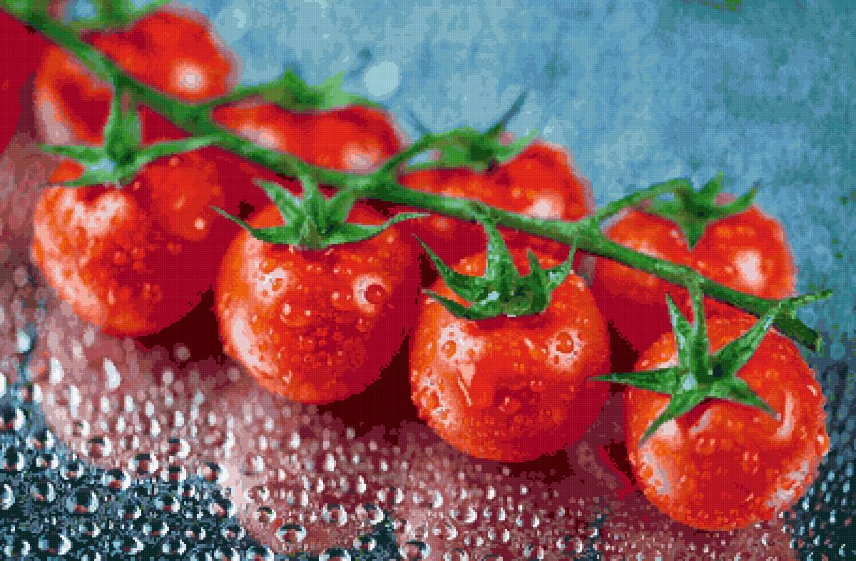 Веточка с помидорами - помидоры - предпросмотр