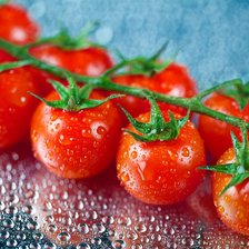 Схема вышивки «Веточка с помидорами»