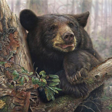 Оригинал схемы вышивки «№2539423»