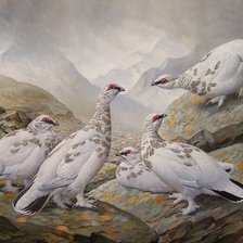 Оригинал схемы вышивки «№2539449»