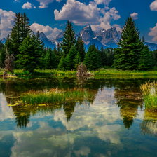 Схема вышивки «Природа»