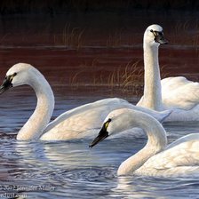 Оригинал схемы вышивки «№2540022»