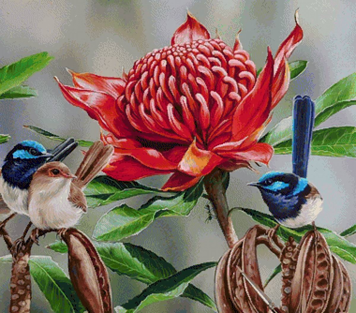 flores y pajaros - предпросмотр