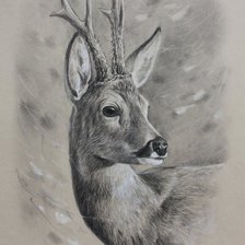 Оригинал схемы вышивки «№2540067»