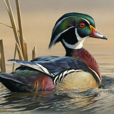 Схема вышивки «№2540092»