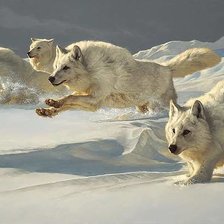 Схема вышивки «№2540495»