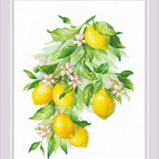 Схема вышивки «7»