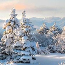 Оригинал схемы вышивки «№2540539»