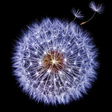 Схема вышивки «№2540661»