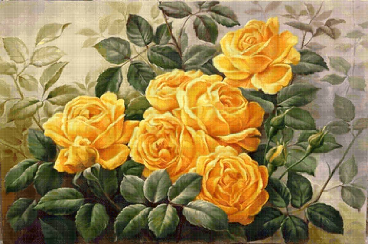 Желтые розы - цветы, розы - предпросмотр