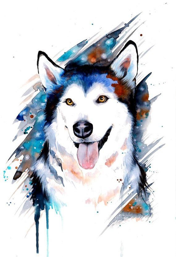 Хаски - акварель, черный, хаски, собака - оригинал