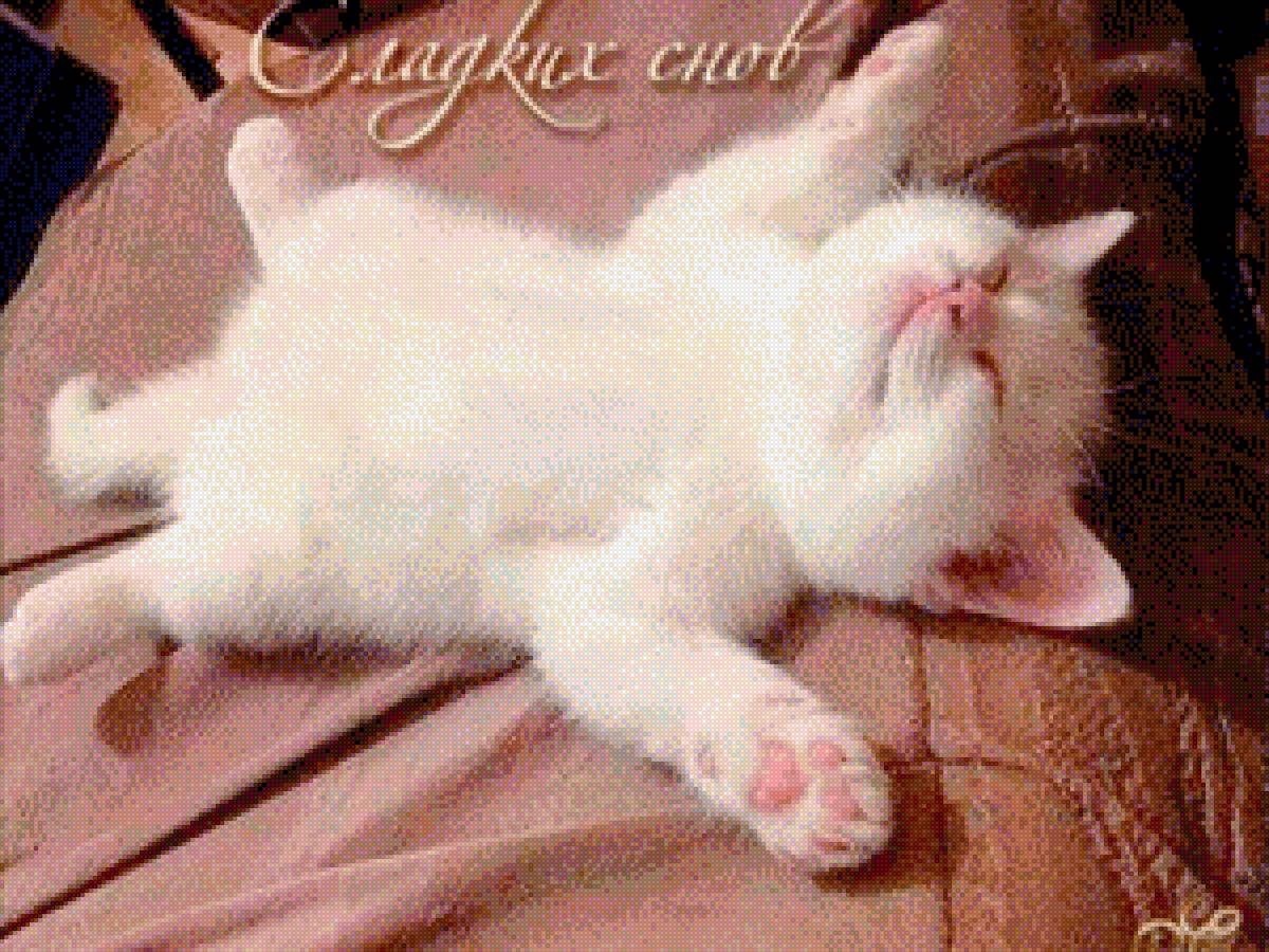 Сладкий сон - кошка - предпросмотр