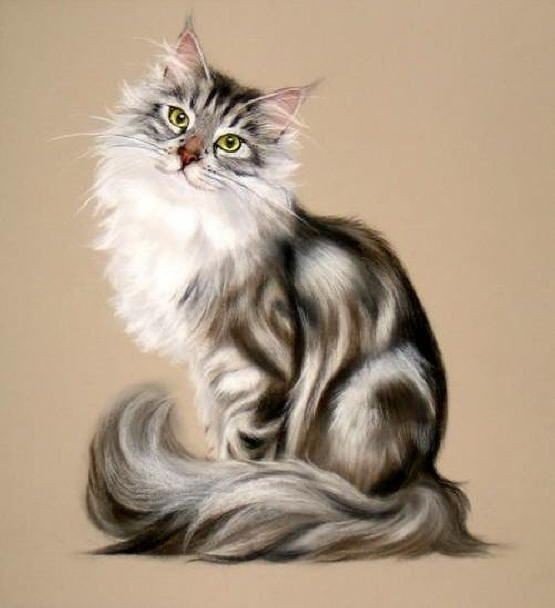 Котик - кот 🐱 - оригинал