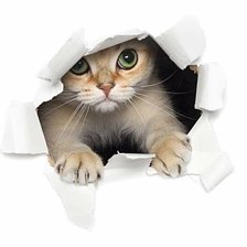 Схема вышивки «Не ожидали...»