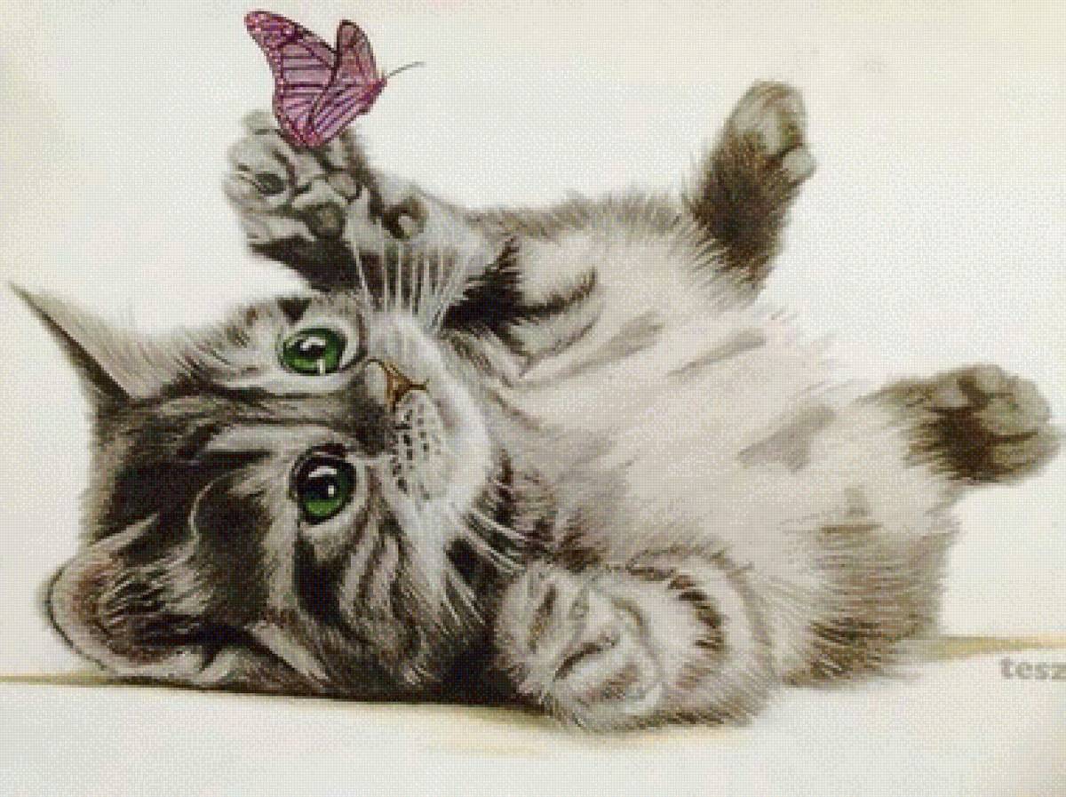 Котёнок - кот 🐱 - предпросмотр