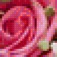 Предпросмотр схемы вышивки «Роза» (№2541050)